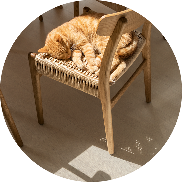 Quick-Step PVC-vloeren voor katten